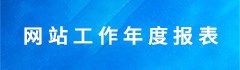 网站工作年度报表