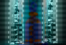 武陵酒业模式创新香浸本土